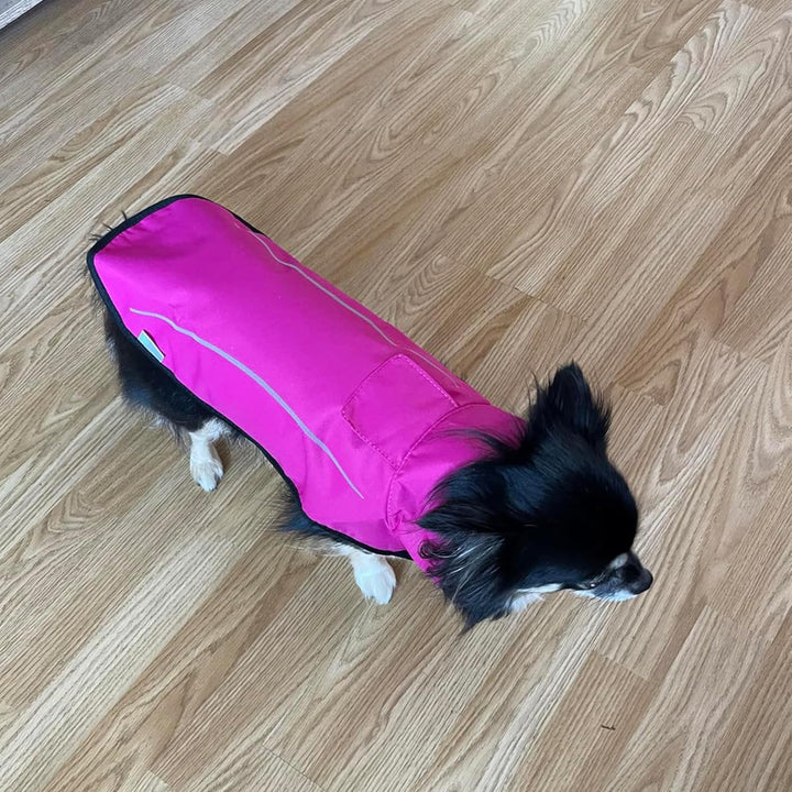 Mile High Life Hunderegenmantel Einstellbare wasserdichte Haustierkleidung Leichte Regenjacke mit re