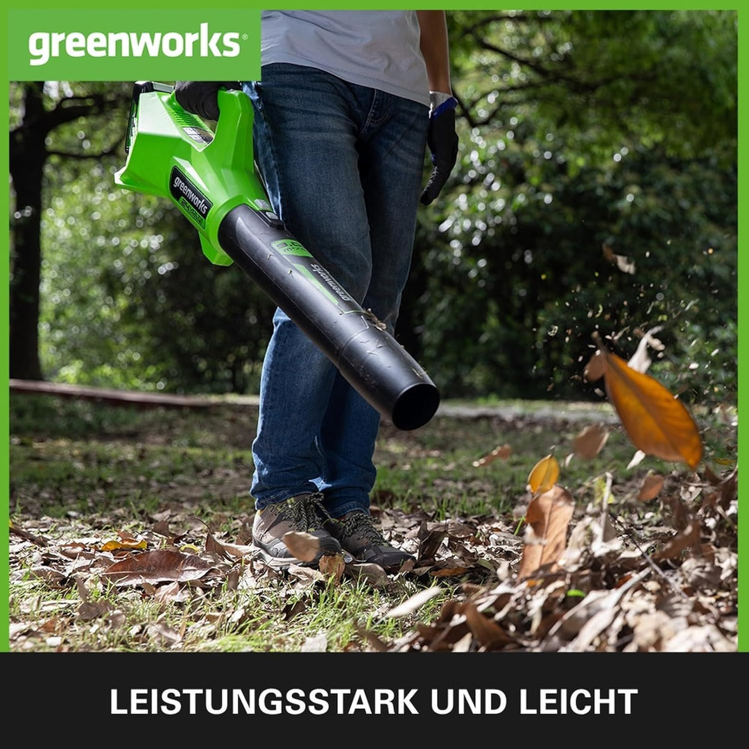 Greenworks G24ABII Axial Akku Laubbläser, 145 km/h, 9,08 m³/min OHNE 24V Akku & Ladegerät, 3 Jahre G