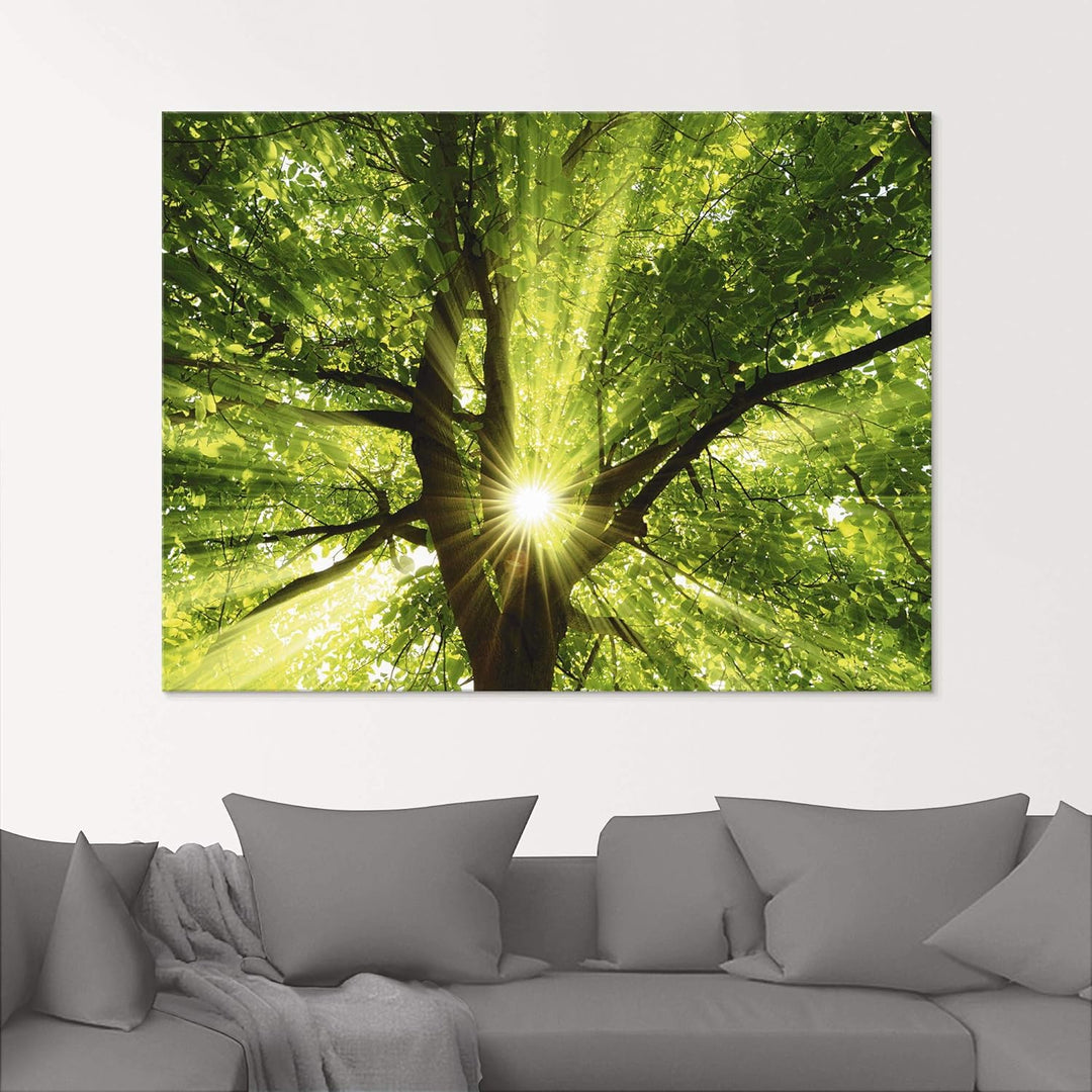 Glasbilder Wandbild Glas Bild einteilig 50x50 cm Quadratisch Wald Natur Botanik Bäume Laubbaum Sonne