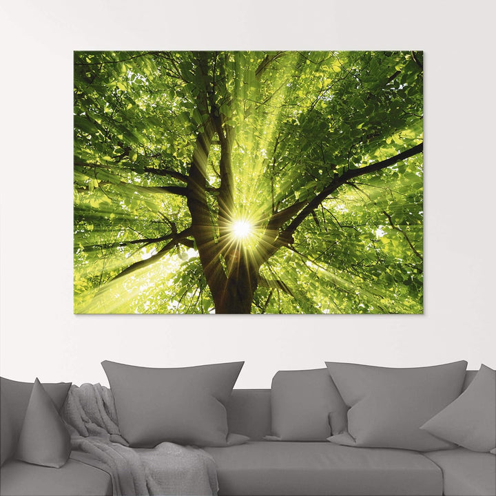 Glasbilder Wandbild Glas Bild einteilig 50x50 cm Quadratisch Wald Natur Botanik Bäume Laubbaum Sonne