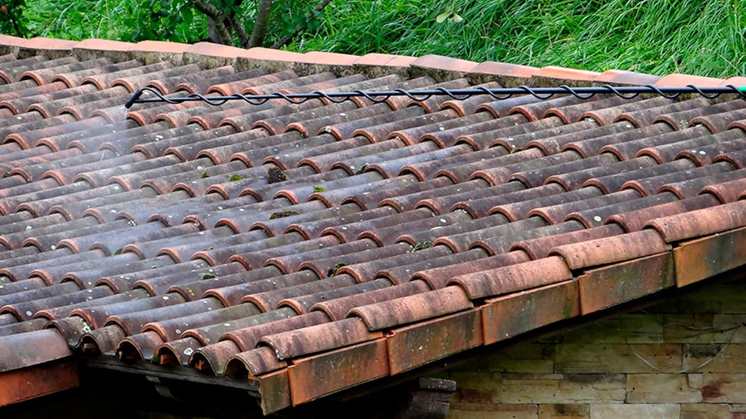 Teleskoplanze - Hohe Lanze - 3,2 m hoch - aus Fiberglas - passend für die meisten Sprühgeräte - idea