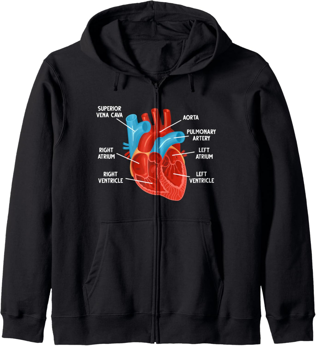 Herz Anatomie Bildung Kardiologie Kapuzenjacke