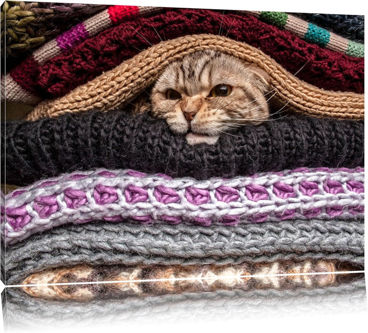 Kuschel Kätzchen zwischen Pullovern Format: 100x70 auf Leinwand, XXL riesige Bilder fertig gerahmt m