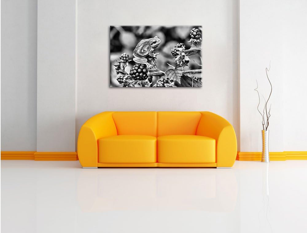 Pixxprint Kleiner Frosch auf Brombeerstrauch als Leinwandbild/Grösse: 100x70 / Wandbild/Kunstdruck/f