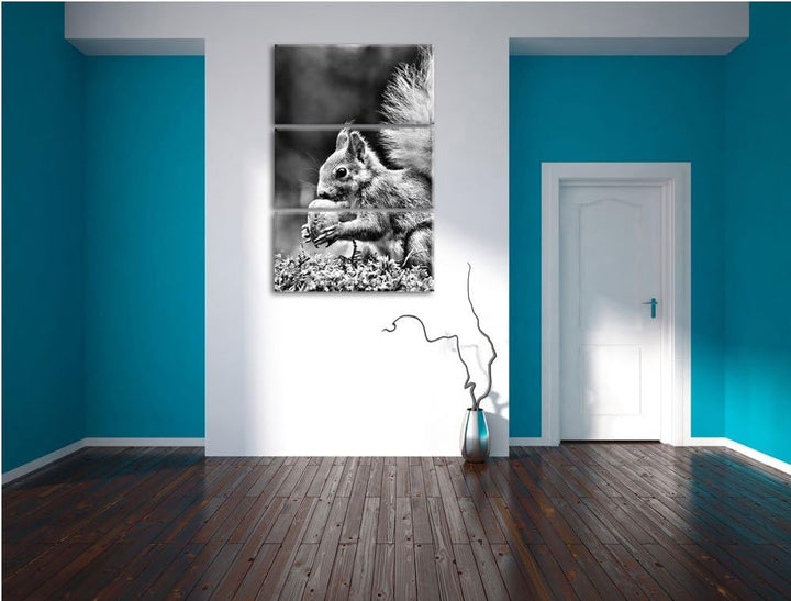 Pixxprint Eichhörnchen mit Nuss als Leinwandbild/Grösse: 3 Teilig (120x80) cm/Wandbild/Kunstdruck/fe