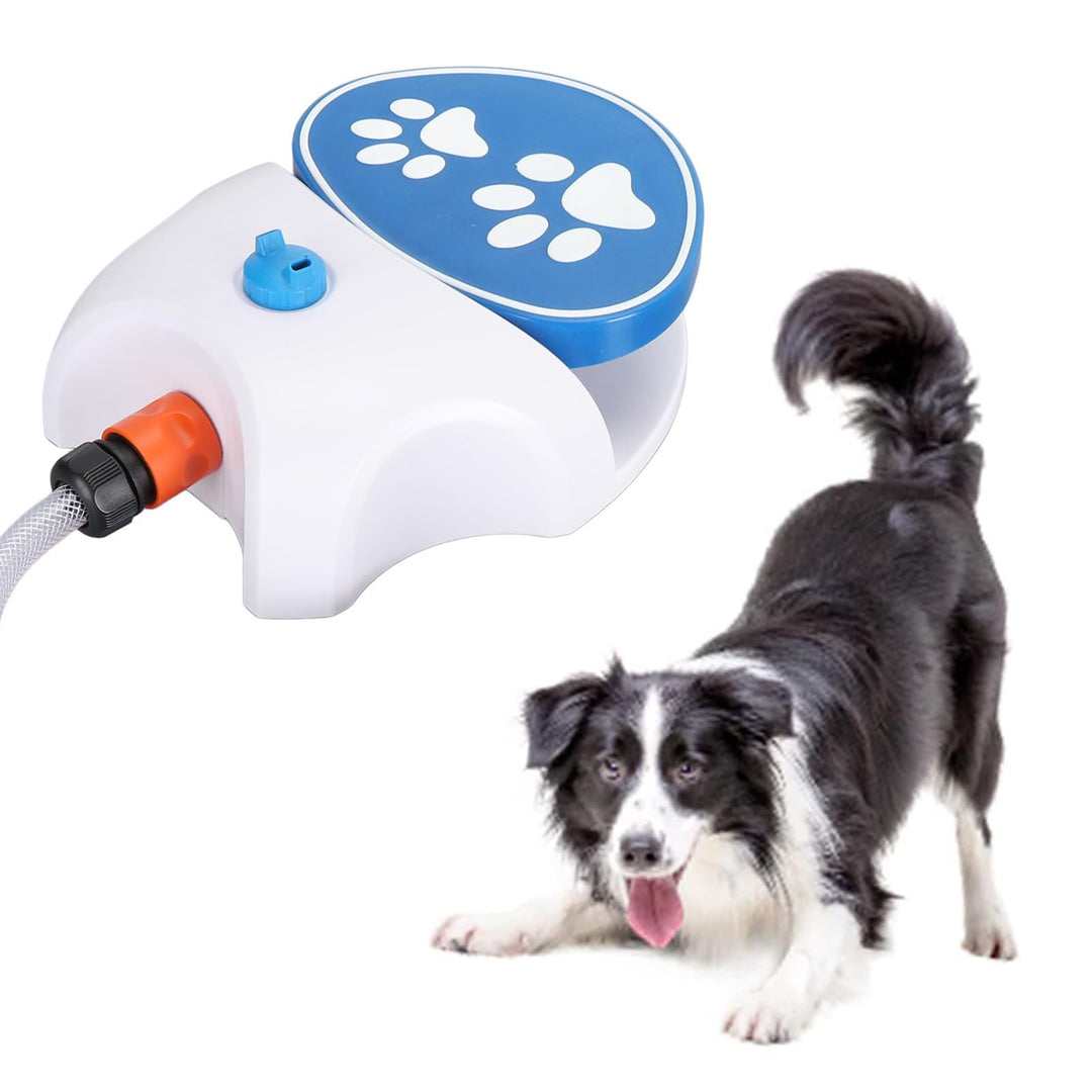 Pfotenaktivierter Hundewasserbrunnen, Hundehaustier-Wassersprinkler, Sofortige Hydratation, Sorgt fü