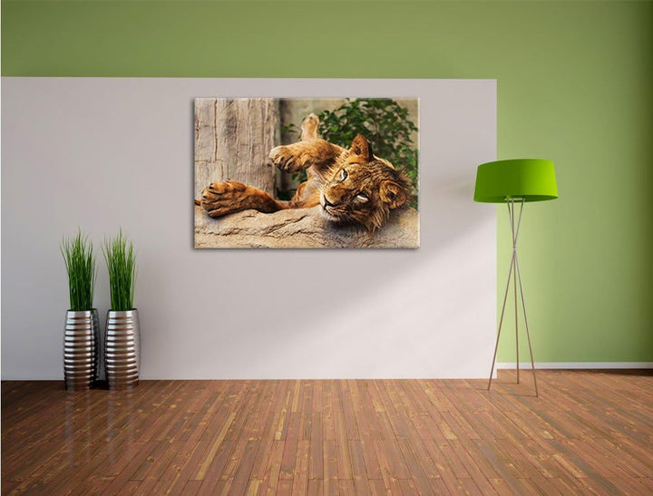 verspielter kleiner Löwe, Format: 100x70 auf Leinwand, XXL riesige Bilder fertig gerahmt mit Keilrah