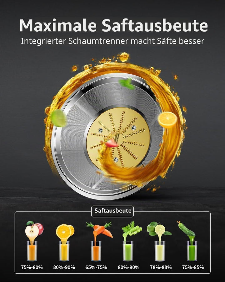 GDOR Entsafter 1300W Entsafter Gemüse und Obst mit Grösserem 81mm Einfüllschacht 1250ml Grosser Saft