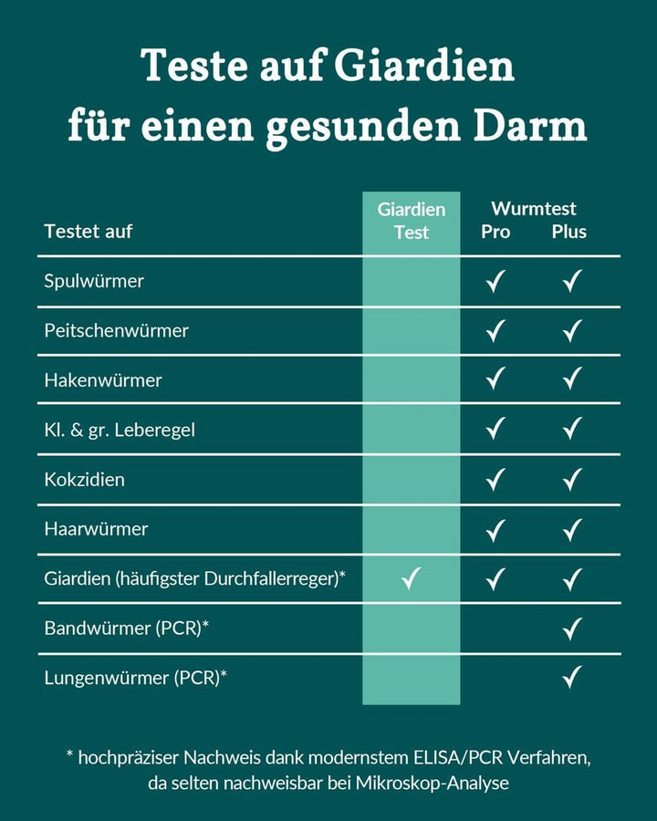 vetevo Giardientest Katze, Test auf Giardien Katze, bei Durchfall, Gewichtsverlust, Erbrechen & Appe