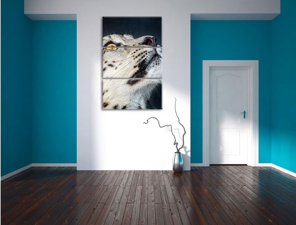 Pixxprint aufschauender Schneeleopard als Leinwandbild - Grösse: 3-Teilig (120x80cm) - Wandbild - Ku