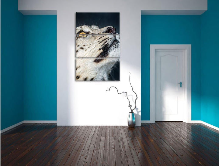 Pixxprint aufschauender Schneeleopard als Leinwandbild - Grösse: 3-Teilig (120x80cm) - Wandbild - Ku