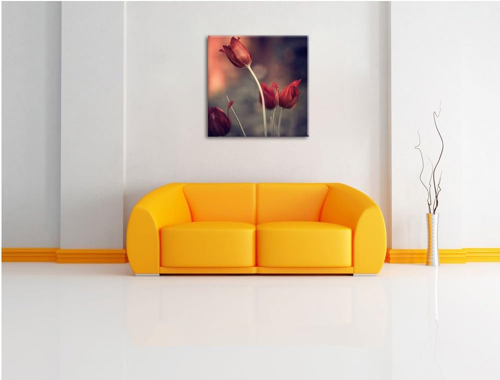 Edle Tulpen im Abendlicht, Format: 70x70 auf Leinwand, XXL riesige Bilder fertig gerahmt mit Keilrah