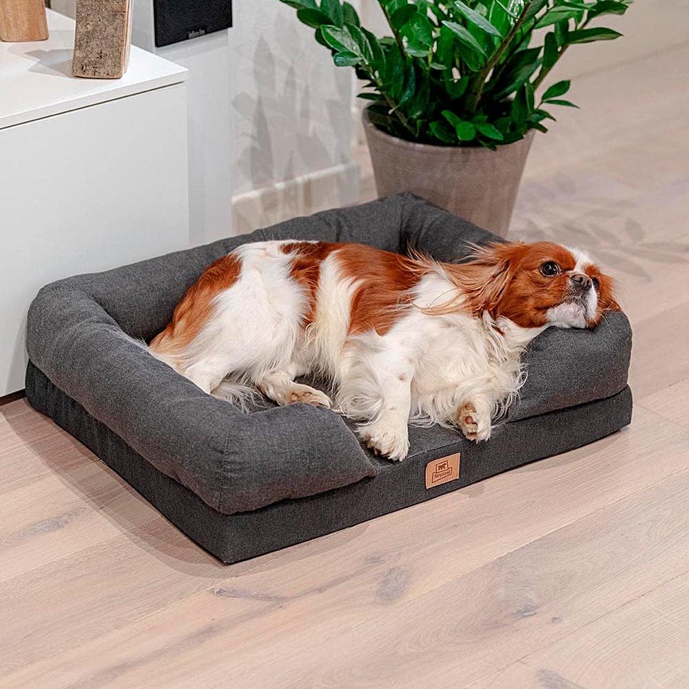 Orthopädisches Bett für Hunde MEMOR-ONE M Memory Foam, 64 x 52 x 16.5 cm, Grau Grau L 64 x B 52 x H