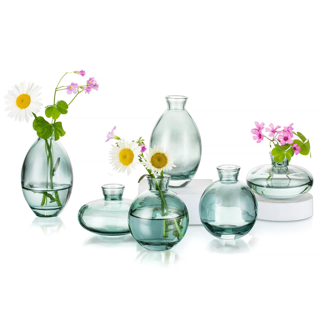 Kleine Vasen Für Tischdeko Aus Hewory, 6 Stück Vase Glas Mini Vasen Set Modern Glasvase Grün Kleine