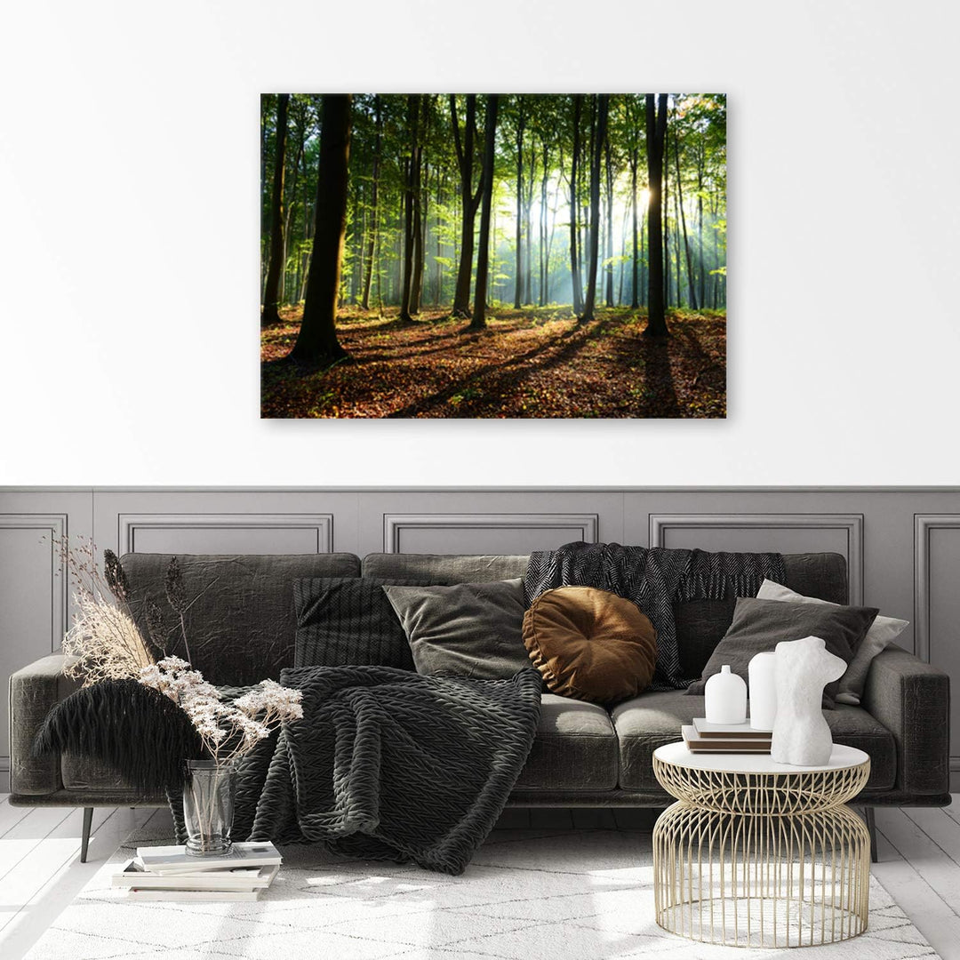 Feeby, Leinwandbild, Bilder, Wand Bild, Wandbilder, Kunstdruck 40x60cm, Wald, Baum, Landschaft, Natu