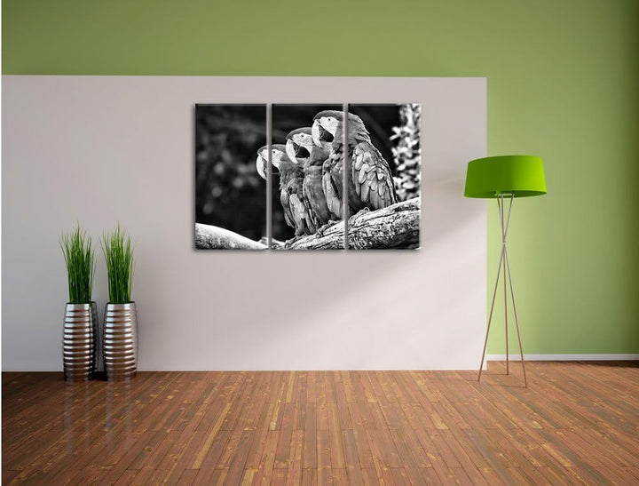Papageien auf AST als Leinwandbild/Grösse: 3 Teilig (120x80) cm/Wandbild/Kunstdruck/fertig bespannt
