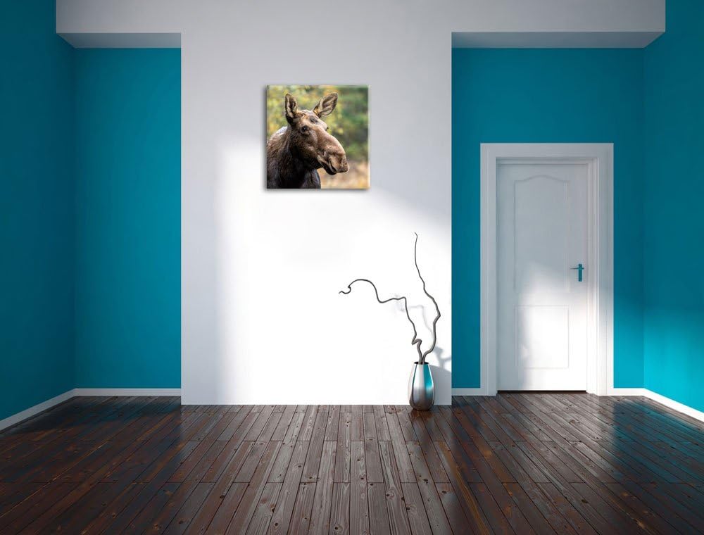 Pixxprint Elch im Wald, Format: 70x70 auf Leinwand, XXL riesige Bilder fertig gerahmt mit Keilrahmen