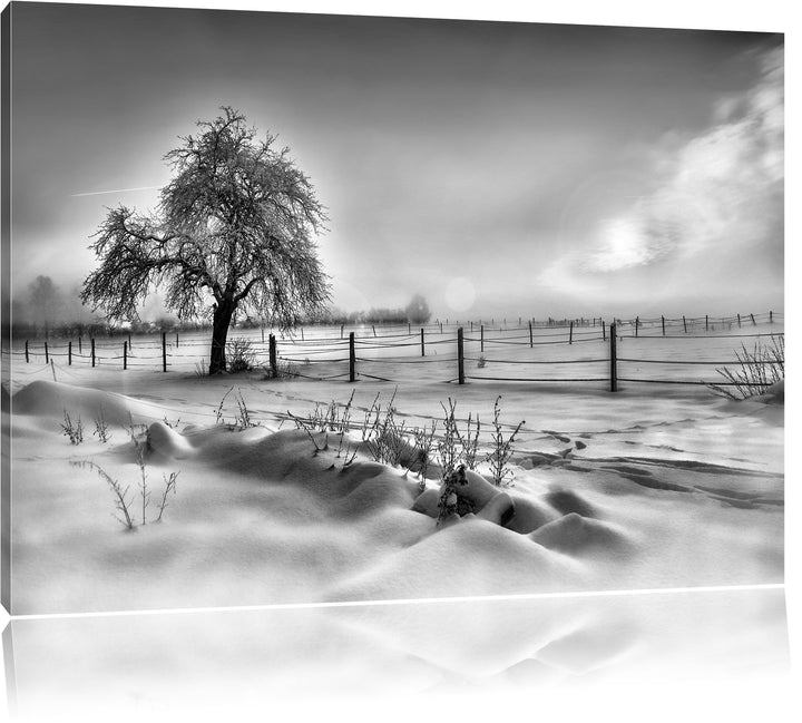 Pixxprint Baum in Winterlandschaft als Leinwandbild/Grösse: 100x70 cm/Wandbild/Kunstdruck/fertig bes