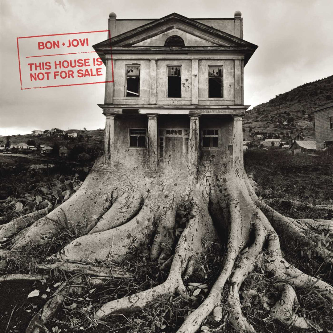 This House Is Not for Sale, Vinyl
