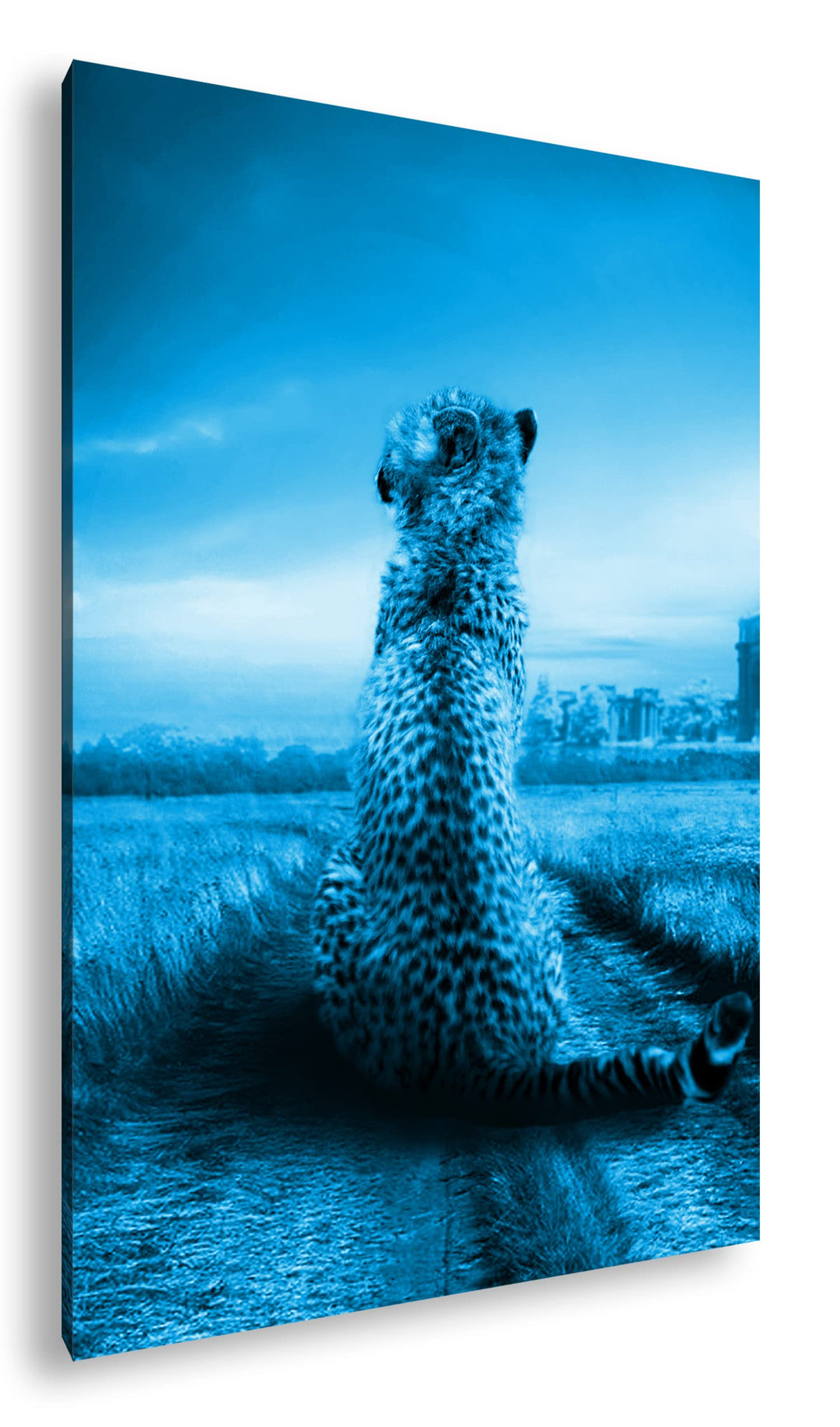 deyoli einsamer Gepard in schöner Landschaft Format 80x60 Effekt: Monocrome Blau als Leinwandbild, M