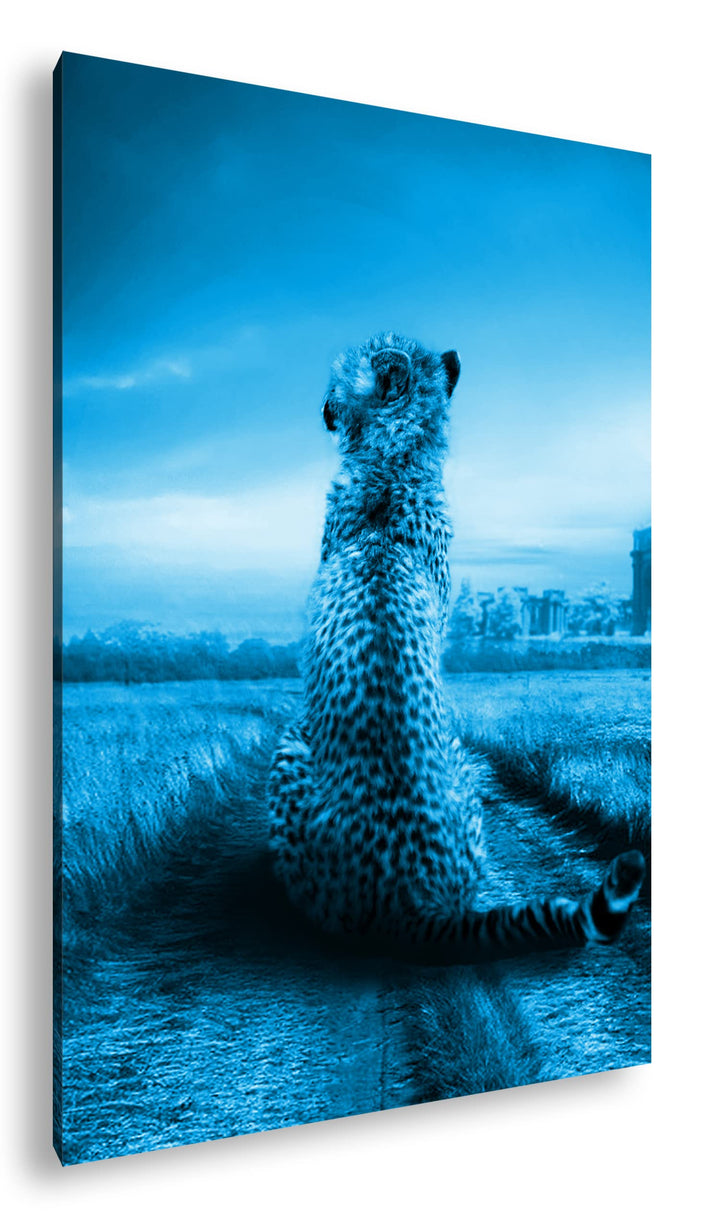 deyoli einsamer Gepard in schöner Landschaft Format 80x60 Effekt: Monocrome Blau als Leinwandbild, M