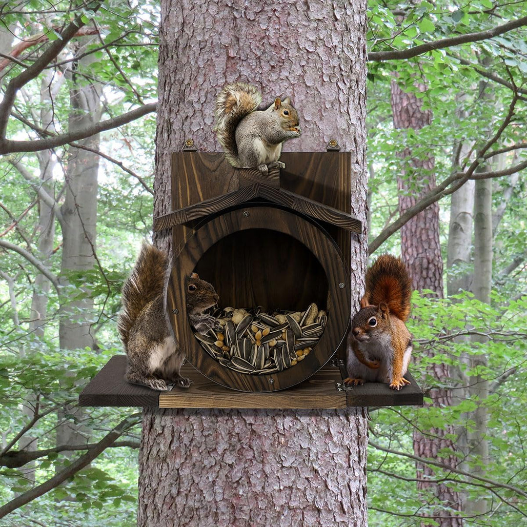 Robustes Futterhaus für Eichhörnchen mit Sichtfenster – Wetterfeste Futterstation für Baum & Garten,