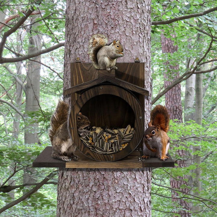Robustes Futterhaus für Eichhörnchen mit Sichtfenster – Wetterfeste Futterstation für Baum & Garten,