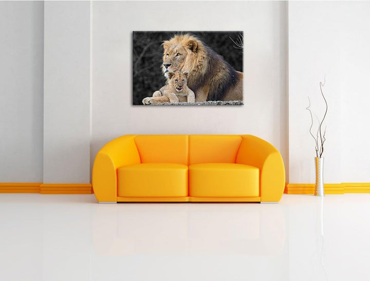 prächtiger Löwe kuschelt mit kleinem Jungtier schwarz/weiss Format: 100x70auf Leinwand, XXL riesige