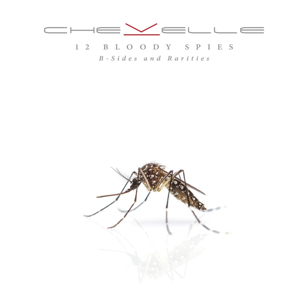 12 Bloody Spies: B-Sides and R, Vinyl