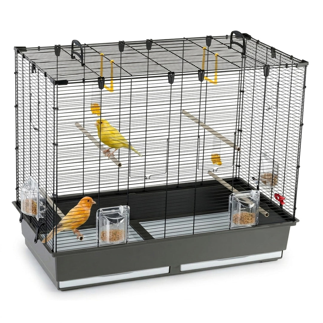 Ferplast Vogelheim für Kanarienvögel, Sittiche und kleine Exoten, Masse: 87 x 46,5 x 70 cm,