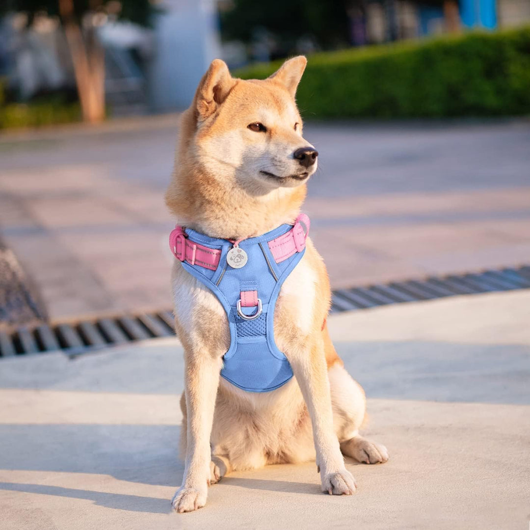 PHOEPET No Pull Hundegeschirr, reflektierende Hundeweste, mit weichem Trainingsgriff für kleine, mit