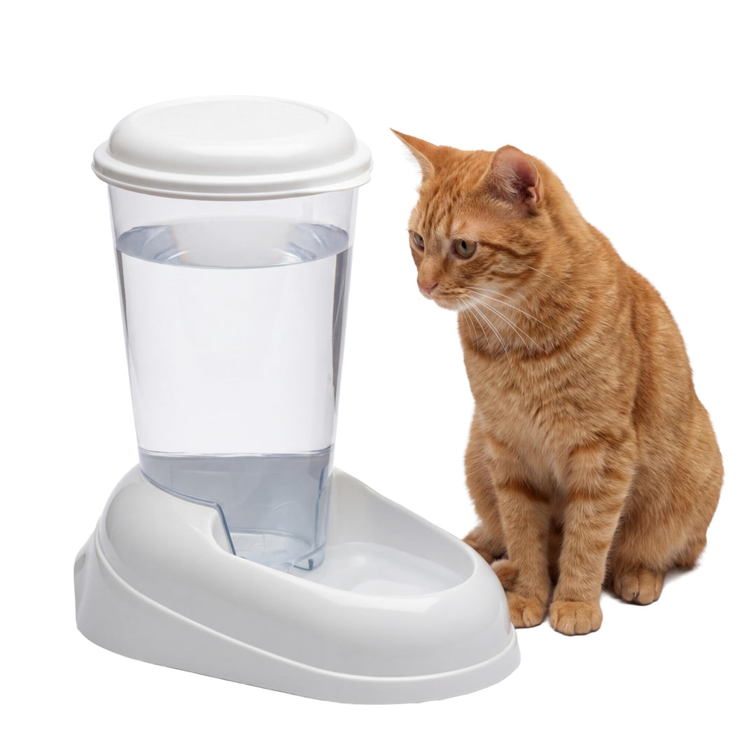 Ferplast Wasserspender für Hunde und Katzen Nadir 3 Liter für kleine und mittlere Hunde, durchsichti