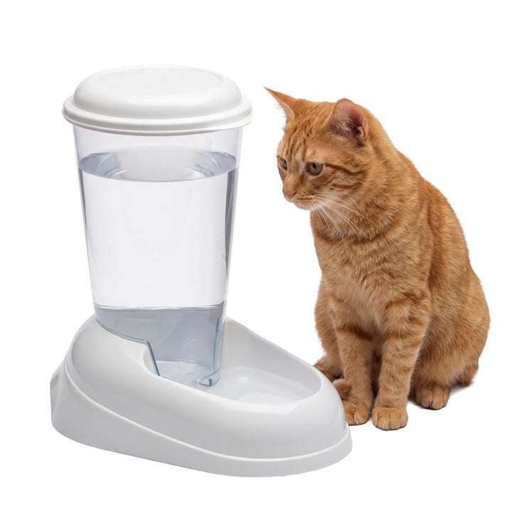 Ferplast Wasserspender für Hunde und Katzen Nadir 3 Liter für kleine und mittlere Hunde, durchsichti