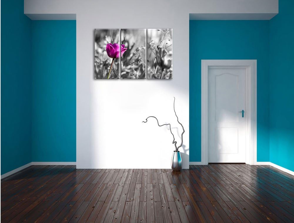 Pixxprint Blumen im Sonnenschein B&W Detail 3-Teiler Leinwandbild 120x80 Bild auf Leinwand