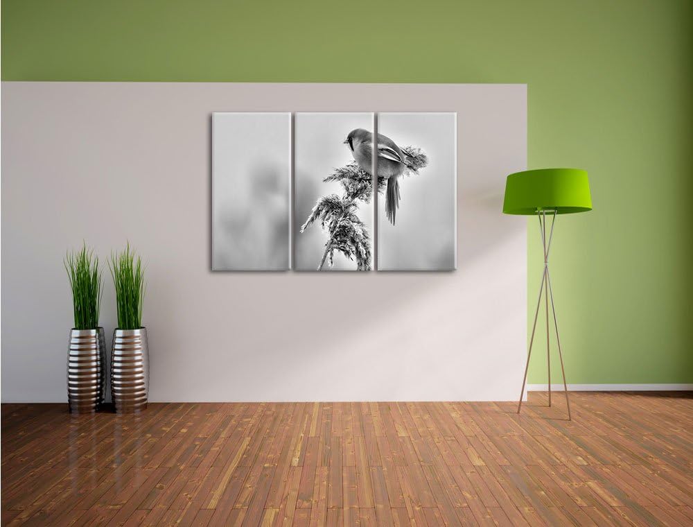 Pixxprint Vogel auf Weizen im Winter als Leinwandbild/Grösse: 3 Teilig (120x80 cm) cm/Wandbild/Kunst