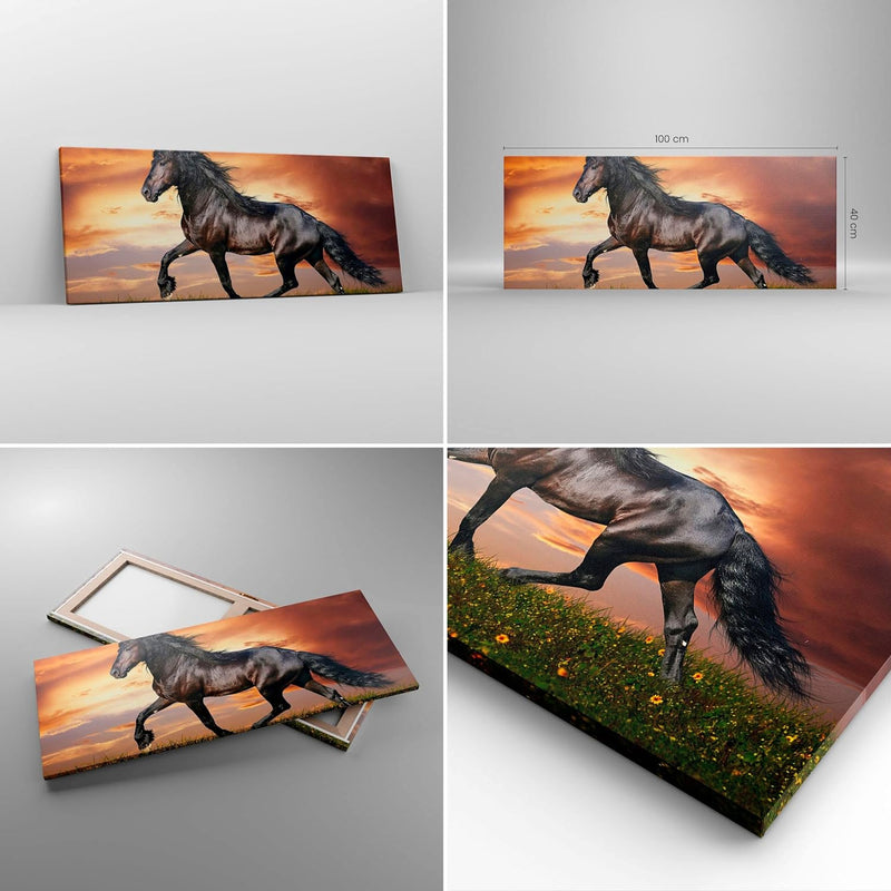 Panorama Bilder auf Leinwand 100x40cm Leinwandbild Pferd Tier Wiese Gross Wanddeko Bild Schlafzimmer