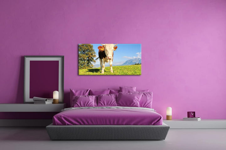 edle Kuh auf der Weide Panorama 80x40 cm als Leinwandbild, Motiv fertig gerahmt auf Echtholzrahmen,