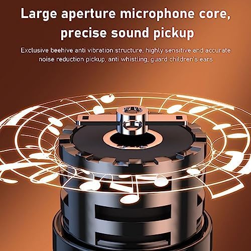 Karaoke Maschinen Set, Tragbarer Stereo Bluetooth Lautsprecher mit 2 Kabellosen Mikrofonen für Kinde