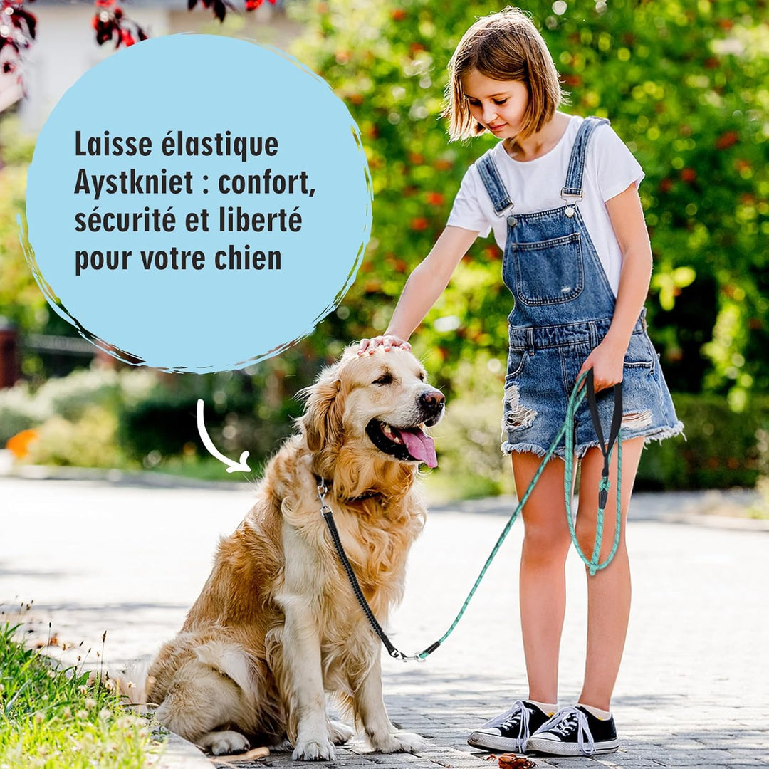 Aystkniet Bungee Schleppleine für Hunde 3M 5M 9M 10M 15M 20M 30M, Schockabsorbierende Hundeleine mit