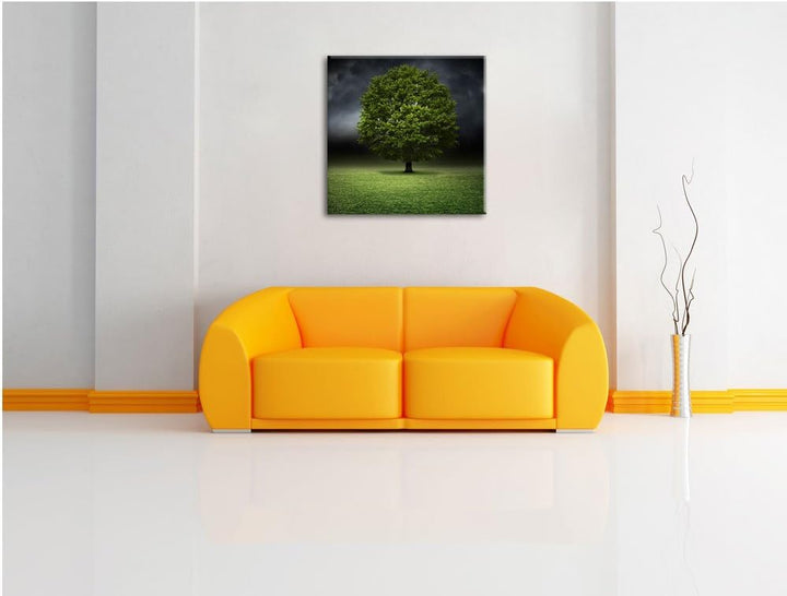 Pixxprint einzelner Baum auf grüner Wiese, Format: 70x70 auf Leinwand, 70x70