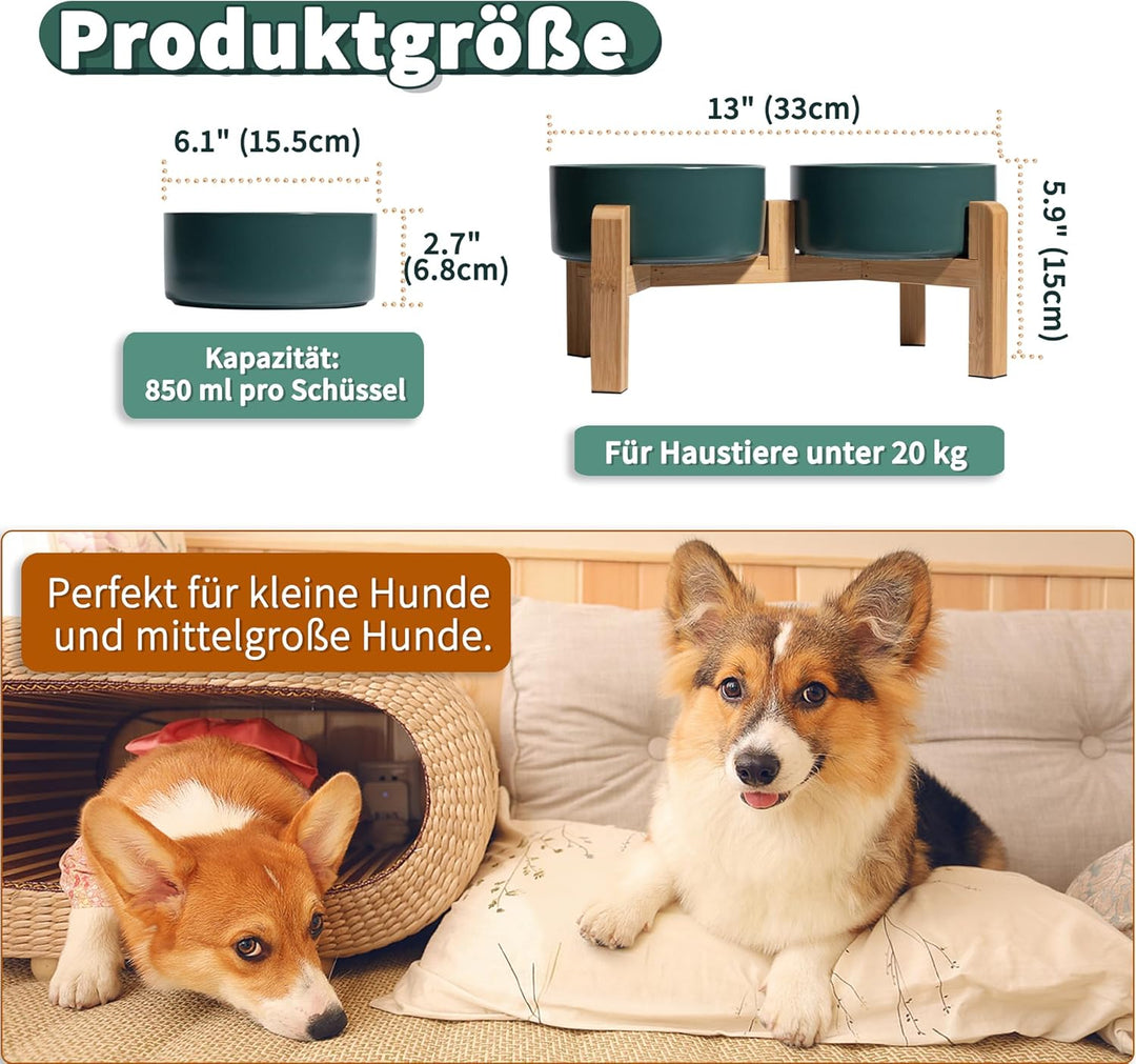 Hundenapf Set Erhöht Hunde Napfset - Doppel Napf Hund Keramik mit rutschfestem Ständer - Erhöhte Fut