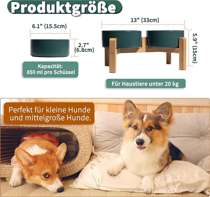 Hundenapf Set Erhöht Hunde Napfset - Doppel Napf Hund Keramik mit rutschfestem Ständer - Erhöhte Fut