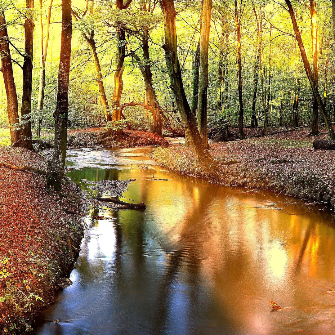 Runa Art Bild Wald Landschaft Wandbilder auf Vlies Leinwand 5 Teilig Wanddekoration Schlafzimmer Woh