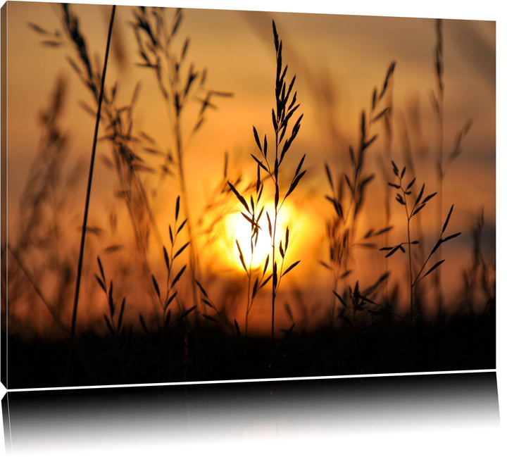 Gras bei Sonnenuntergang Format: 100x70 auf Leinwand, XXL riesige Bilder fertig gerahmt mit Keilrahm