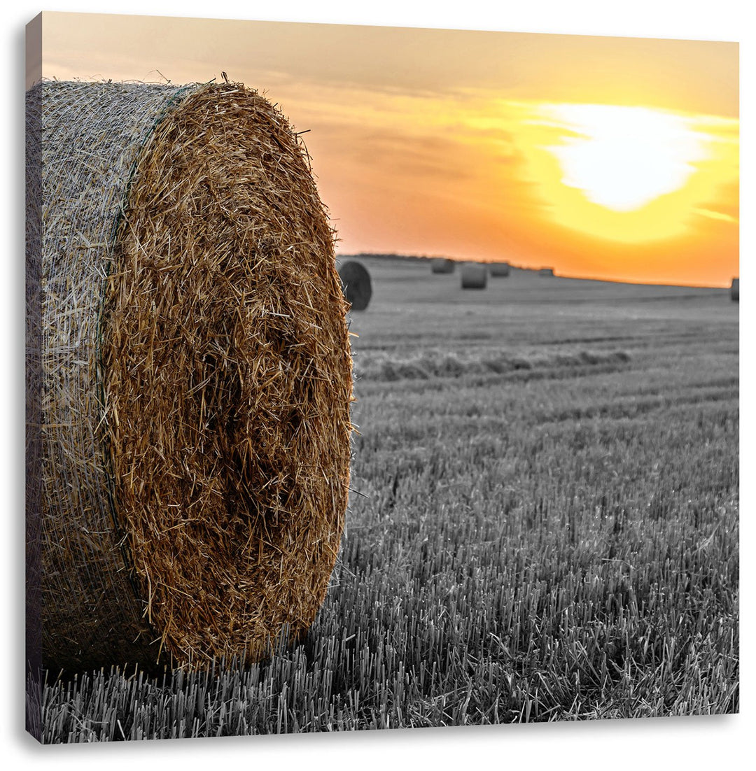 Pixxprint Strohballen auf Feld als Leinwandbild/Grösse: 70x70 cm/Wandbild/Kunstdruck/fertig bespannt
