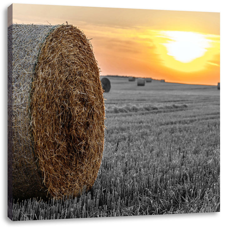 Pixxprint Strohballen auf Feld als Leinwandbild/Grösse: 70x70 cm/Wandbild/Kunstdruck/fertig bespannt