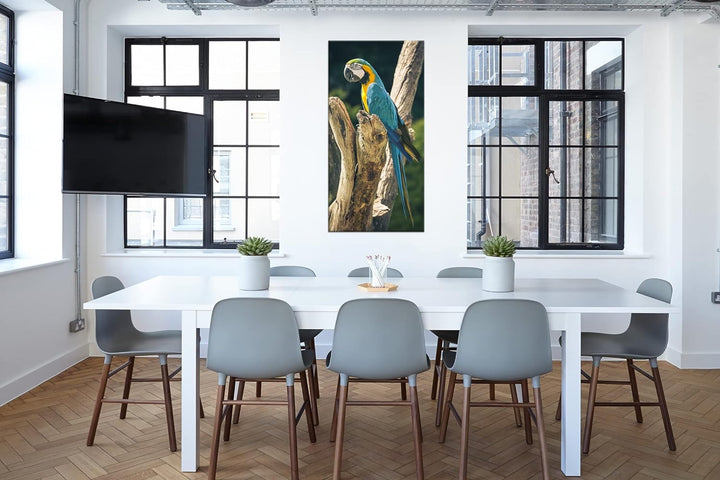 edler Papagei Panorama 100x50 cm als Leinwandbild, Motiv fertig gerahmt auf Echtholzrahmen, Hochwert