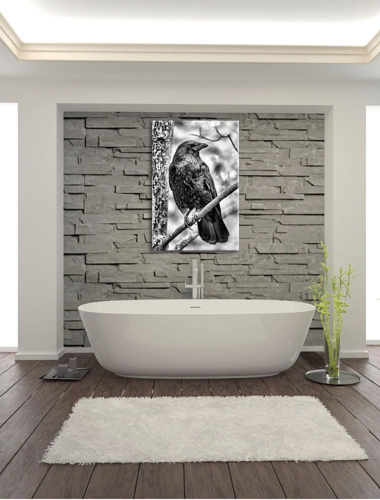 Pixxprint schwarzer Rabe auf AST / 100x70cm Leinwandbild bespannt auf Holzrahmen/Wandbild Kunstdruck