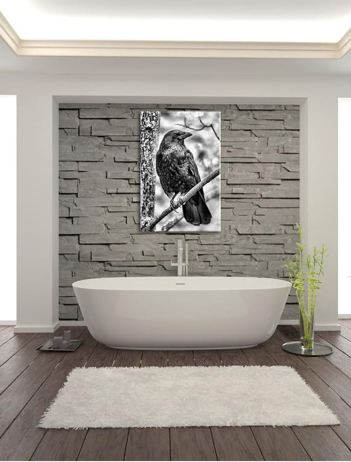 Pixxprint schwarzer Rabe auf AST / 100x70cm Leinwandbild bespannt auf Holzrahmen/Wandbild Kunstdruck