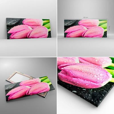 Wandbilder Dekoration Wohnzimmer Tulpen Tau Steine Pflanze Panorama Bilder auf Leinwand 120x50cm Lei